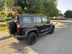 جريت وول 300